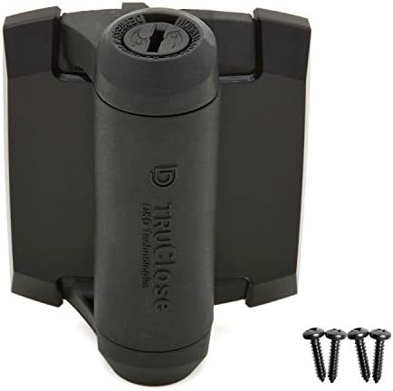 DD Technologies TruClose Self Closing Gate Hinge 2 Count Gloss Black