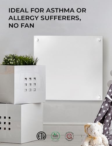 EconoHome Wall Heater Panel with Thermostat 400W 120V 120 Sq Ft
