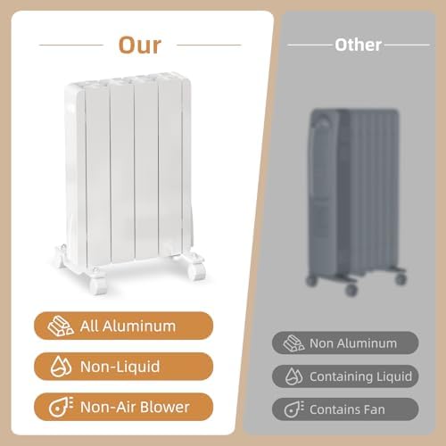 Eueiriup 700W Electric Wall Heater with Thermostat