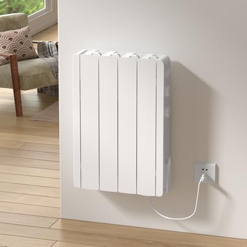 Eueiriup 700W Electric Wall Heater with Thermostat