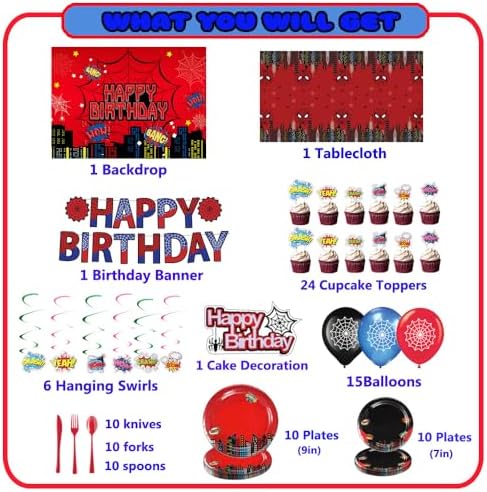 Spider Theme Birthday Party Decor Kit