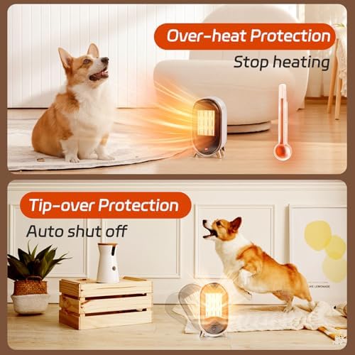 Feculs 900W Quiet Electric Space Heater for Indoor Use