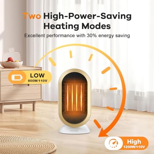 Bubbacare 1200W800W Quiet Electric Desk Heater with Overheat Protection