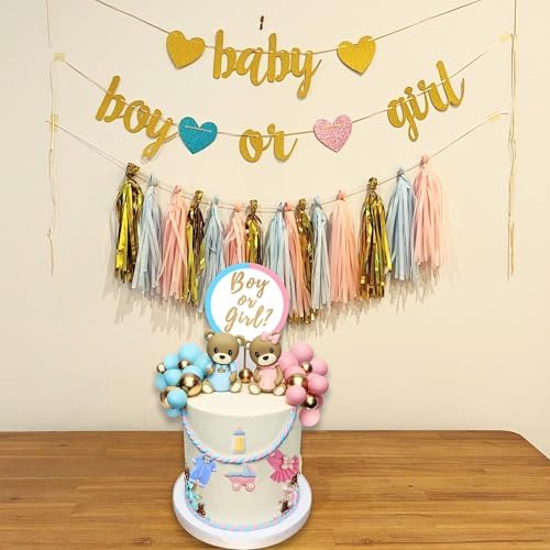 LEFUBABY Bear Cake Toppers Gender Reveal Party Decorations