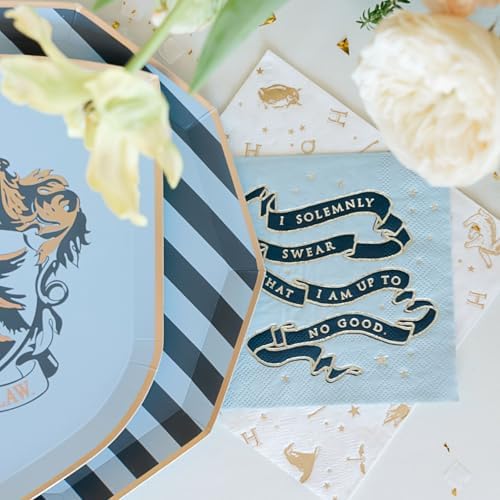 Harry Potter Themed Napkins 24 Pack 65 Folded