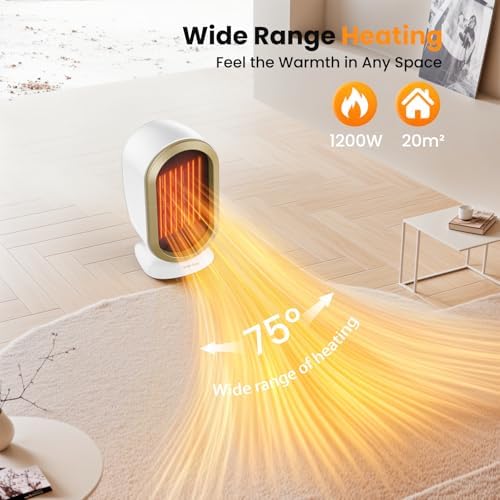 Tiptop Home Electric Space Heater with PTC Fast Heating