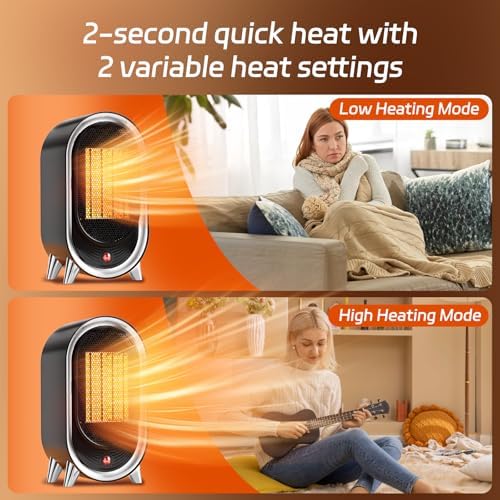 Feculs Space Heater for Desk - Black