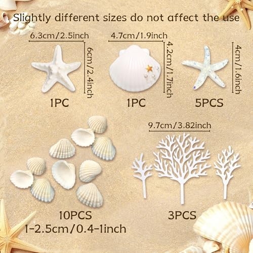 20 PCS Ocean Themed Cake Decorations 1