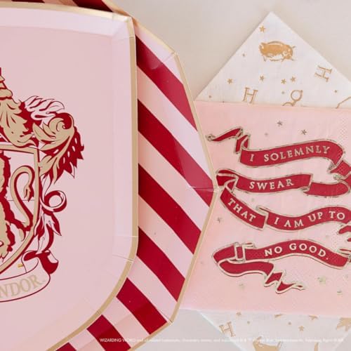 Harry Potter Themed Napkins 24 Pack 65 Folded