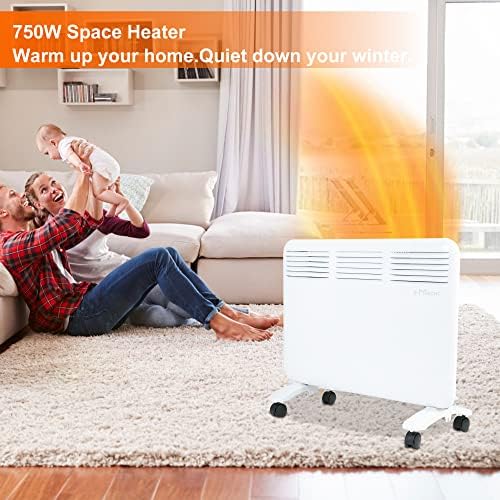 DC DICLASSE 1000W Quiet Electric Heater with Digital Control